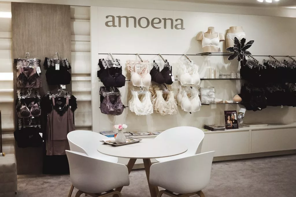 The Lingerie Store